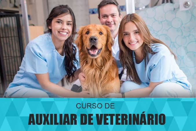 Curso Auxiliar Veterinário
